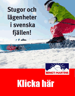 Bengt-Martins