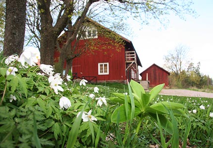 Lasätter gård