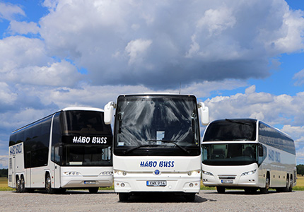 Håbo Buss