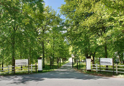 Bergendal Meetings