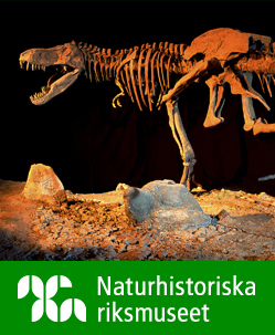 Naturhistoriska Riksmuseet